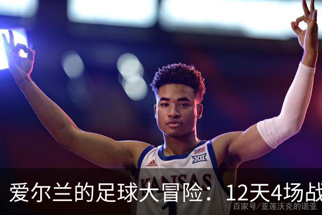 爱尔兰的足球大冒险：12天4场战斗的传奇之路